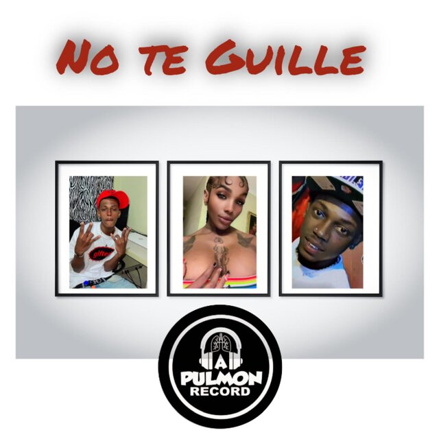 No te Guille