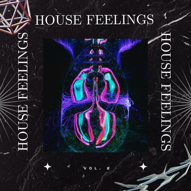 House Feelings Vol.2
