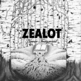 Newer Testament