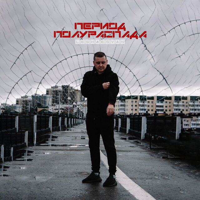 Период полураспада