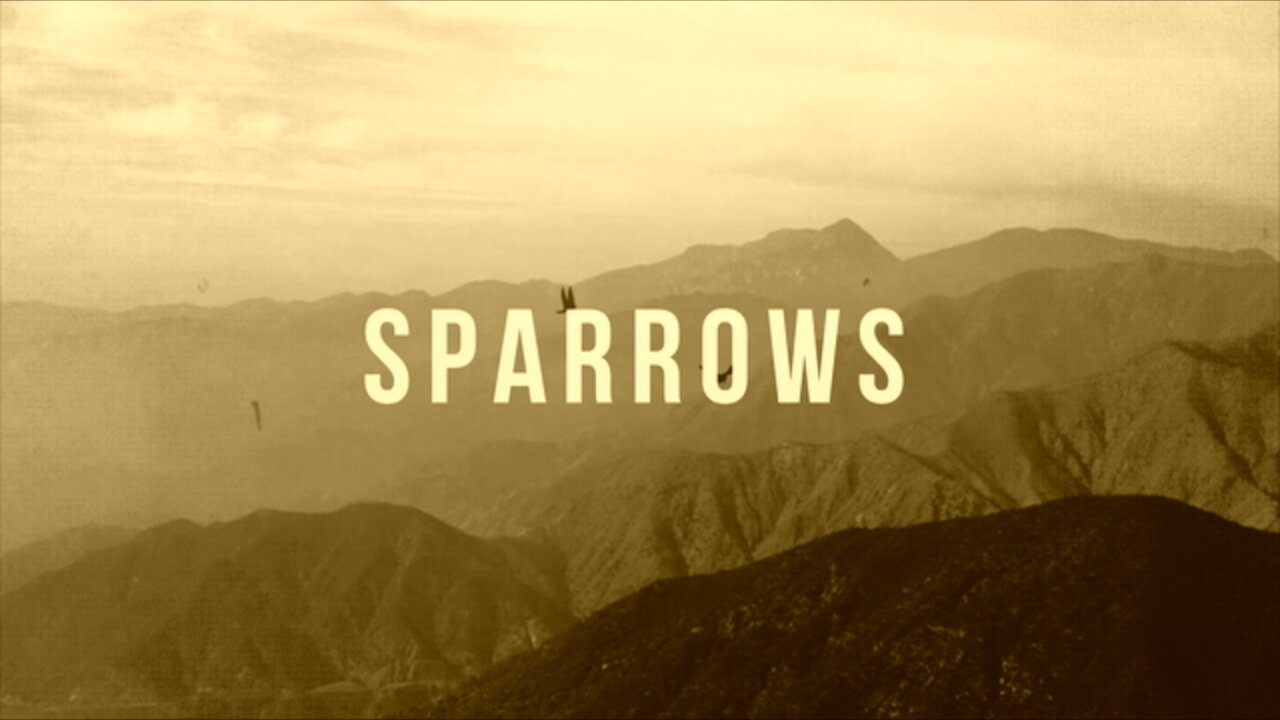 Sparrows (Acoustic) [Lyric Video]