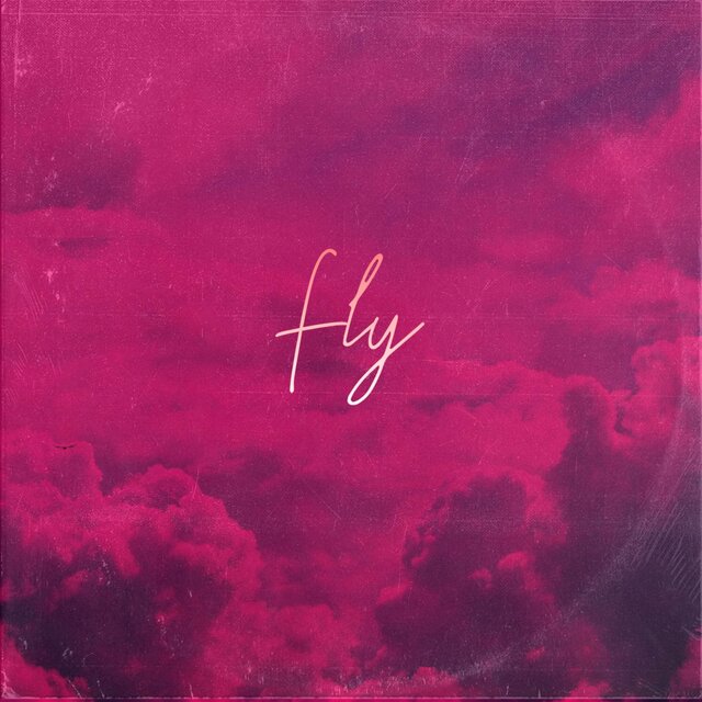 Fly
