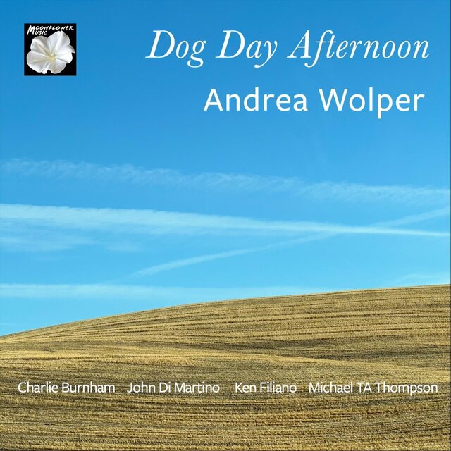 Dog Day Afternoon