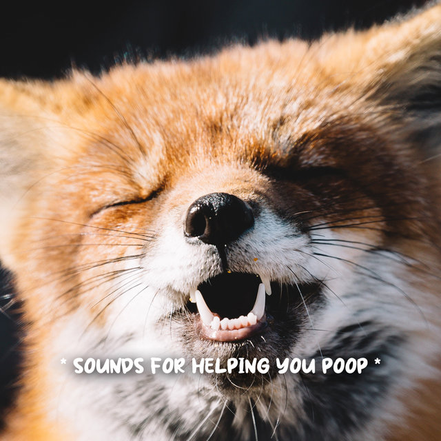 * sounds for helping you poop *