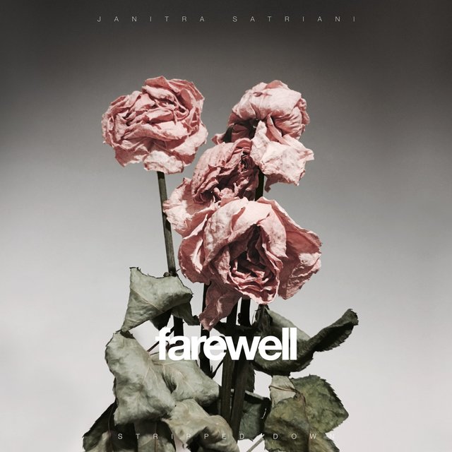 Farewell (Stripped Down)