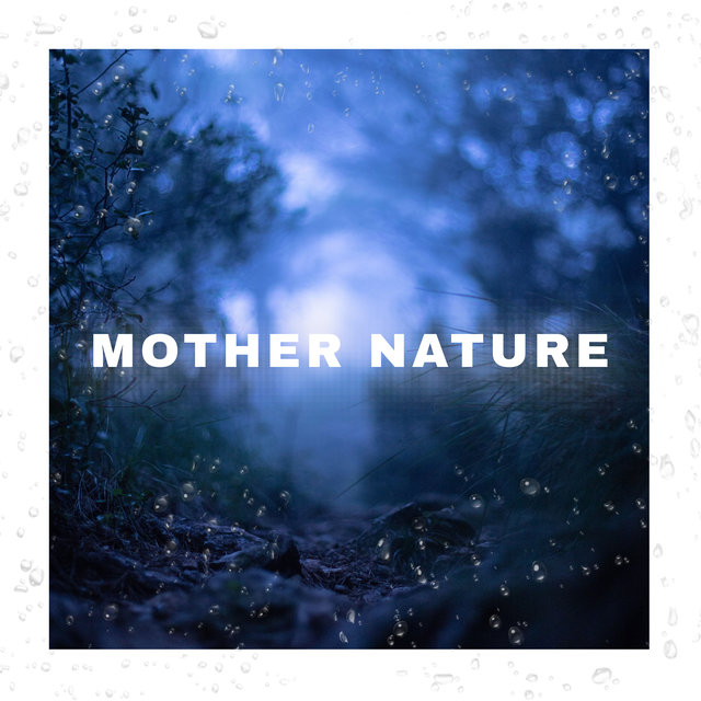 Mother Nature Forest Nature
