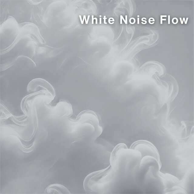 White Noise Flow