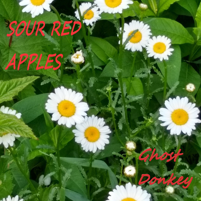 Cover art for album Sour Red Apples by Ghost Donkey