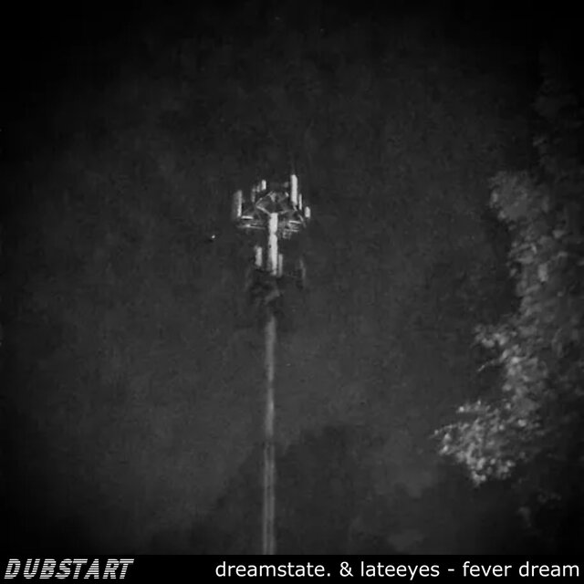 fever dream
