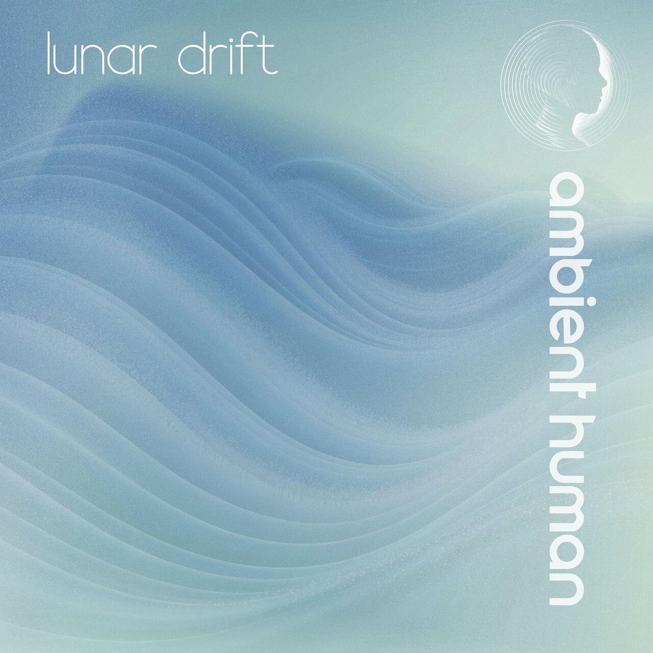 Ambient Human on TIDAL