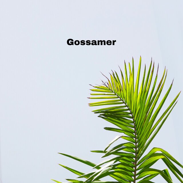 Gossamer