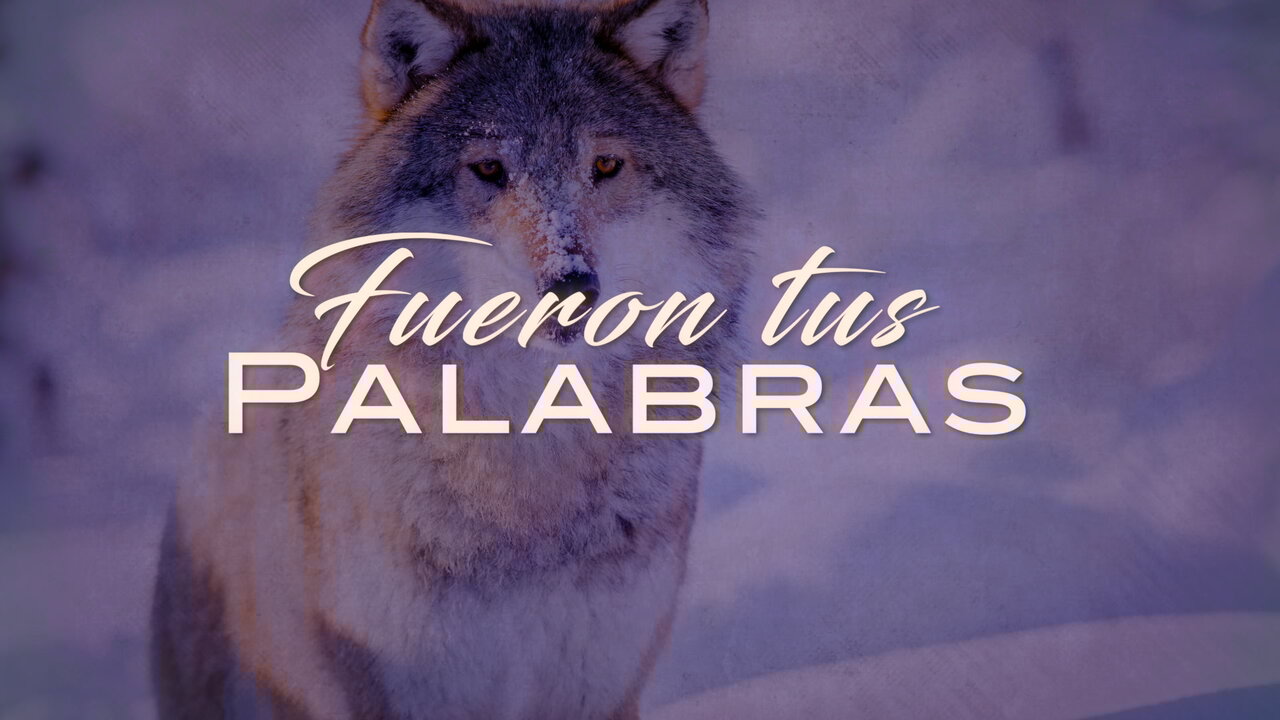 Fueron Tus Palabras (LETRA)