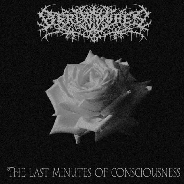 The Last Minutes of Consciousness