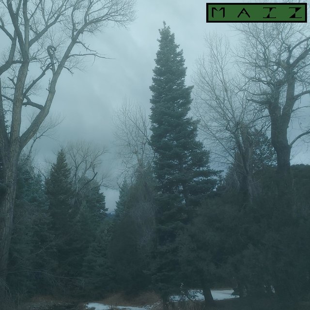 The Forgotten Machine