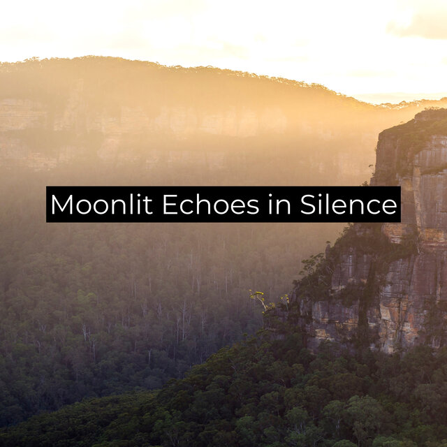 Moonlit Echoes in Silence