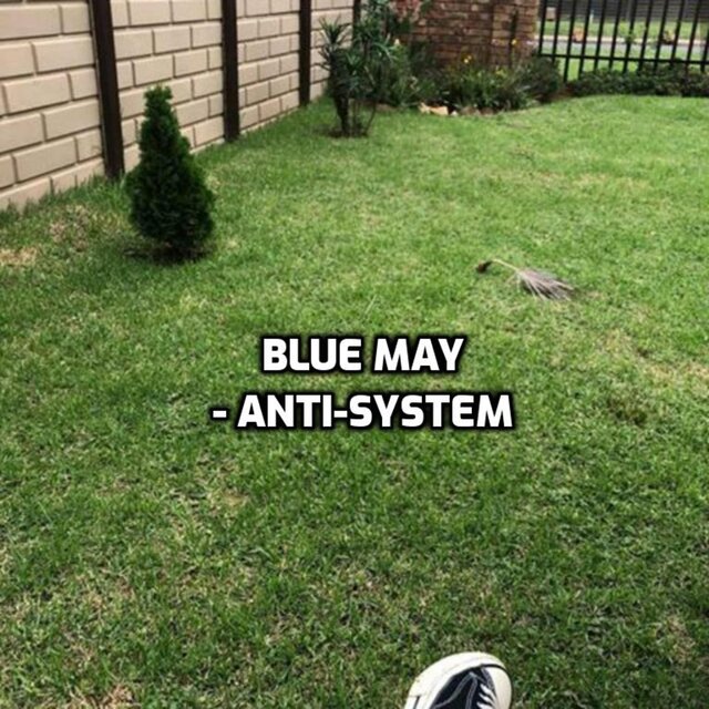 Anti-System