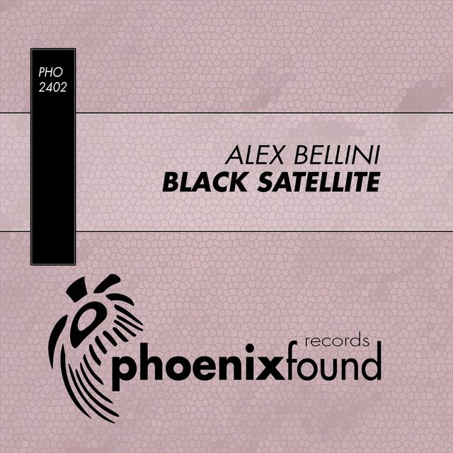 Black Satellite