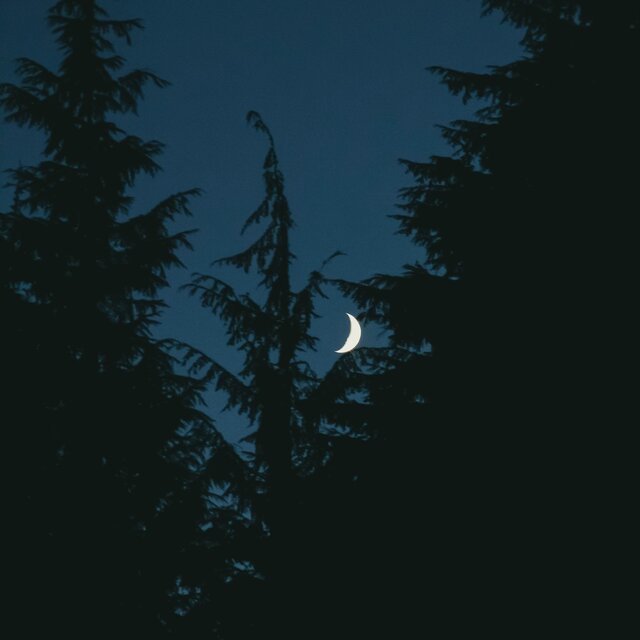 Good night