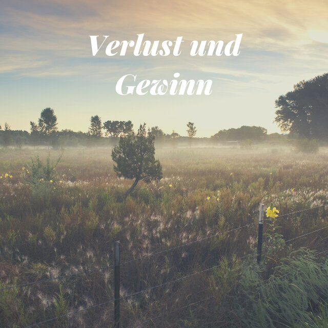 Verlust und Gewinn