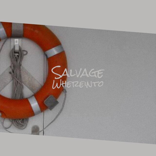 Salvage Whereinto