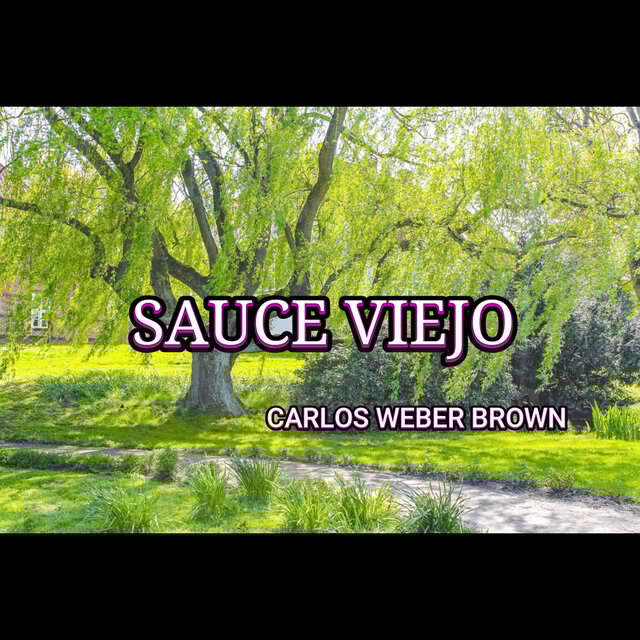 SAUCE VIEJO