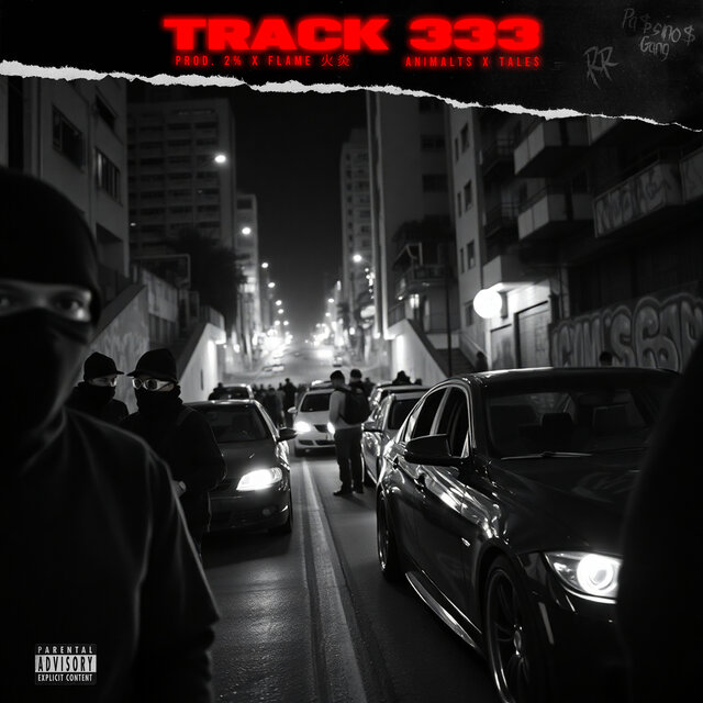 Track 333