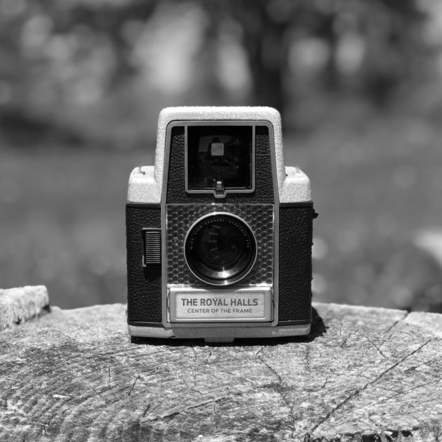 Center of the Frame