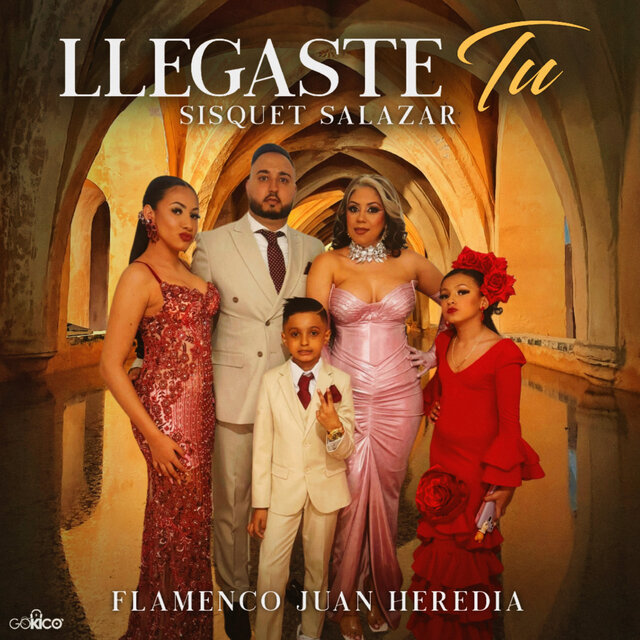 Llegaste Tu
