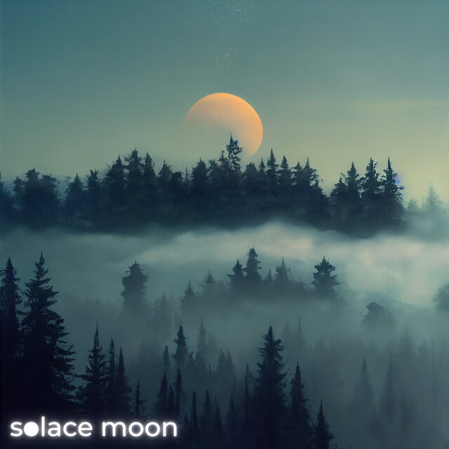 Tranquil Forest