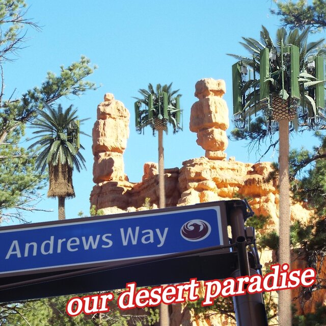 Our Desert Paradise
