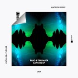 Self Destruction (Original Mix)