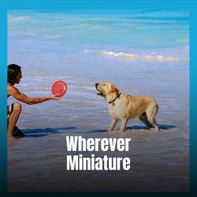 Wherever Miniature