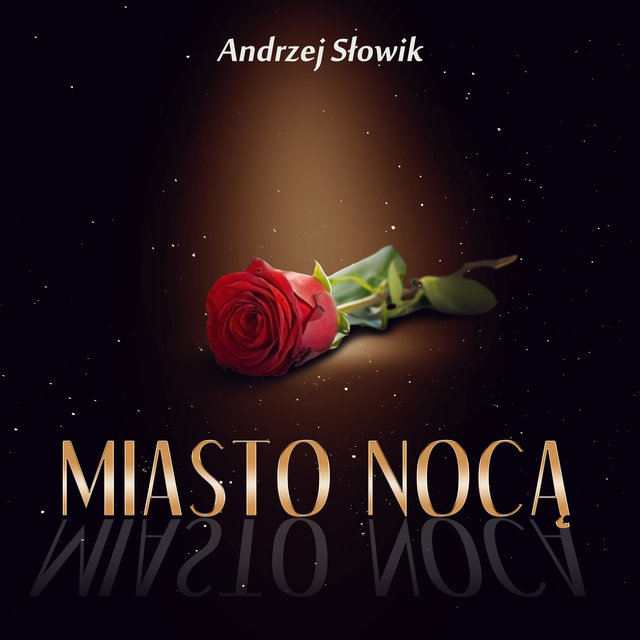 Miasto Nocą