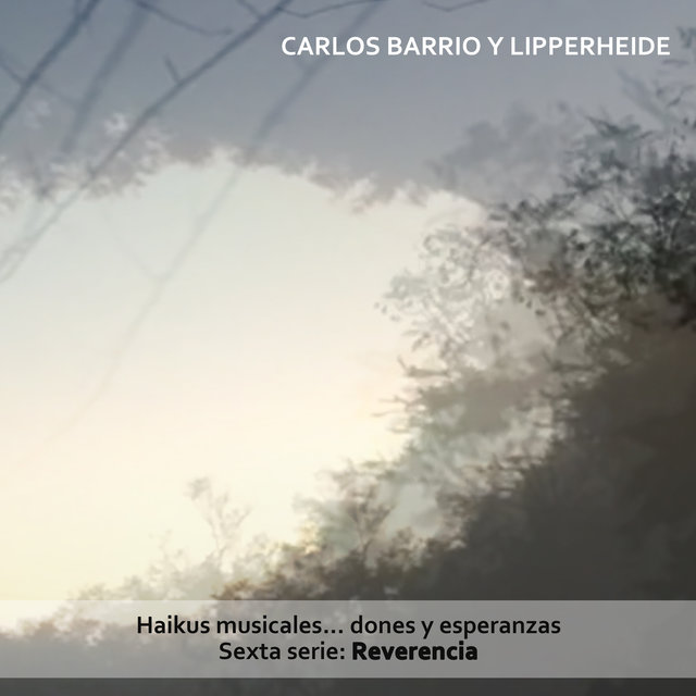 Haikus Musicales... Dones y Esperanzas. Sexta Serie: Reverencia