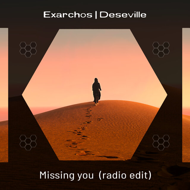 Missing you (Radio Edit)