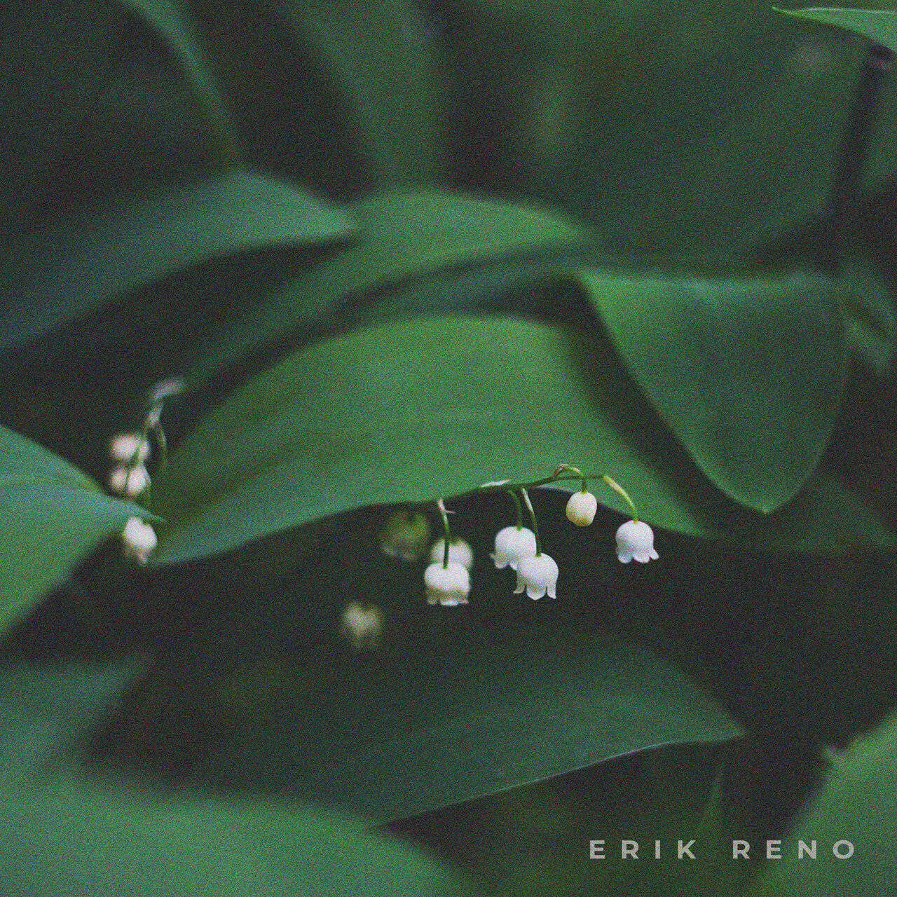 Erik Reno Erik Reno on TIDAL