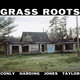 Cover art for album Grass Roots by Grass Roots