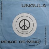 PEACE OF MIND
