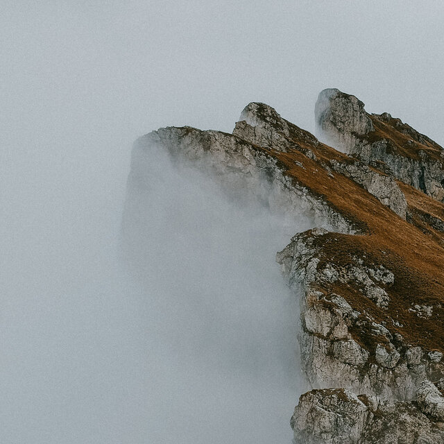 Edge