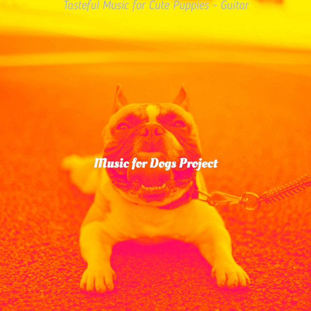Tasteful Music for Cute Puppies - Guitar