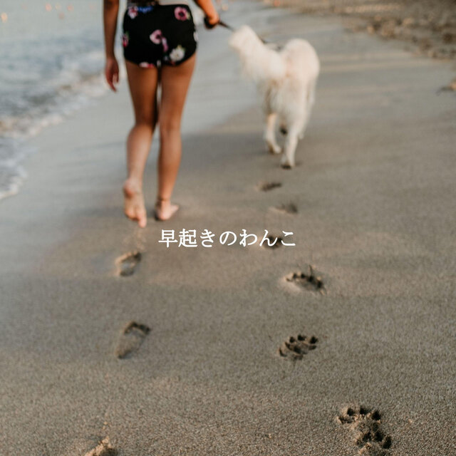 早起きのわんこ