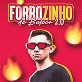 Forrozinho - Será Que Foi Saudade