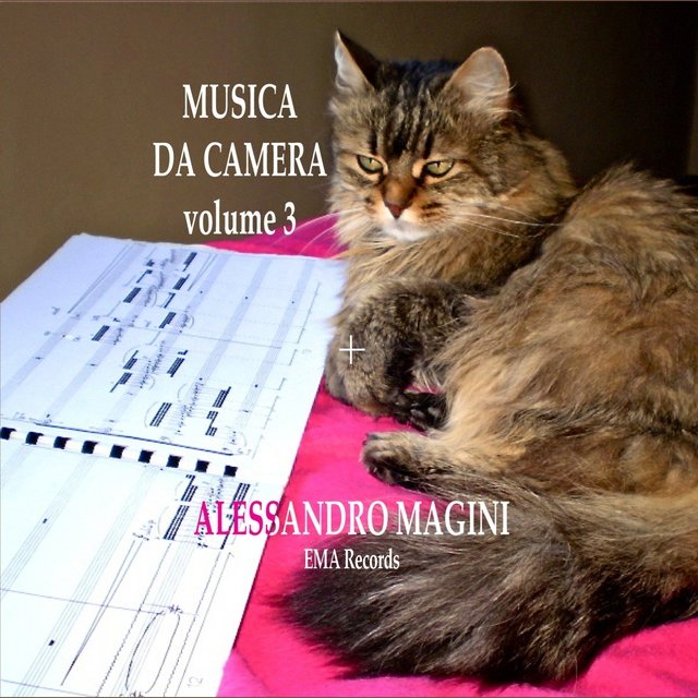Alessandro magini: Musica da camera, vol. 3
