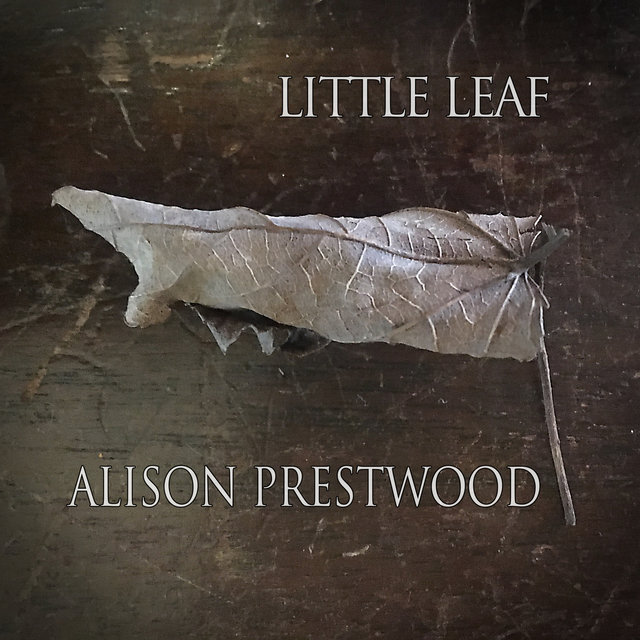 Little Leaf