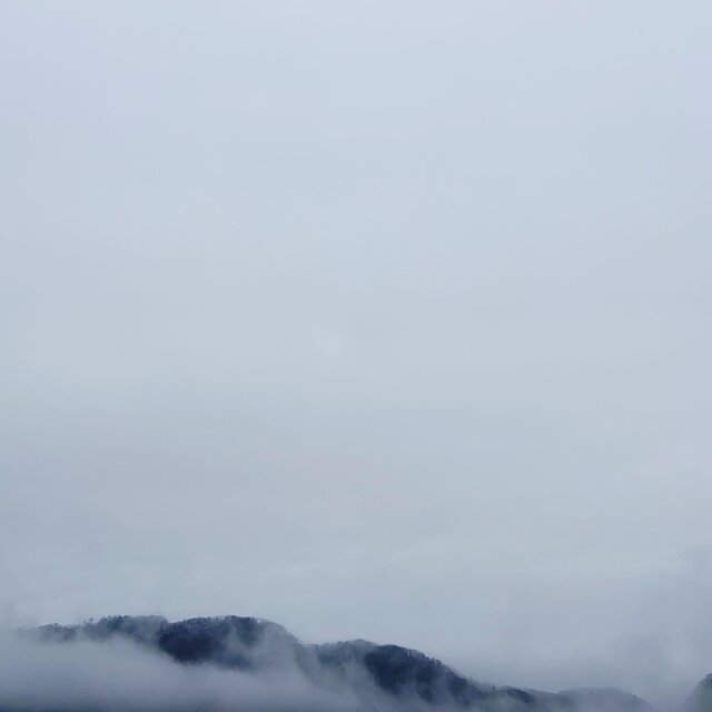 Pure Experience