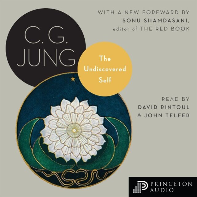 The Undiscovered Self (With Symbols and the Interpretation of Dreams)