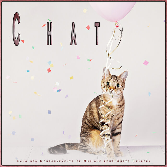 Chat: Echo des Ronronnements et Musique pour Chats Heureux