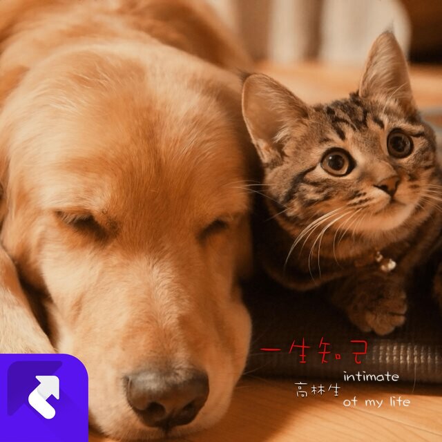 一生知己