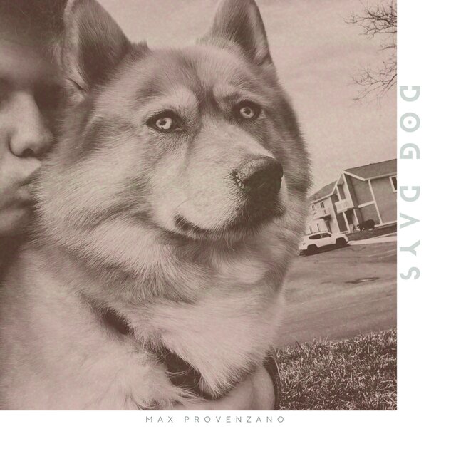 Dog Days