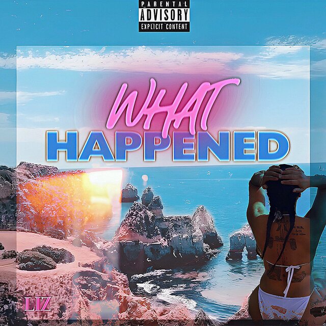 WHAT HAPPENED